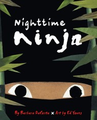 Nighttime Ninja