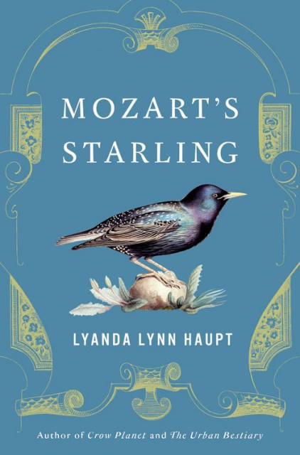 Mozart's Starling