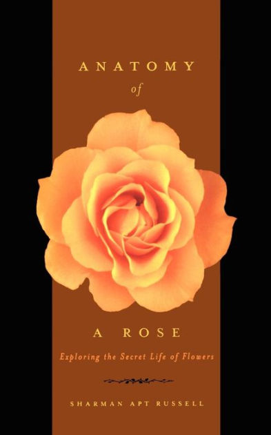 Anatomy Of A Rose