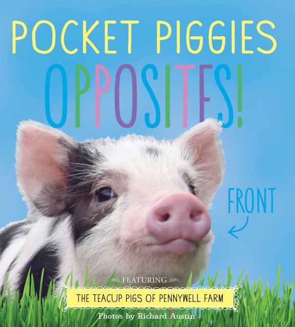 Pocket Piggies Opposites!