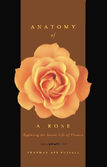 Anatomy Of A Rose