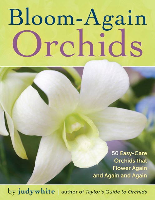 Bloom-Again Orchids