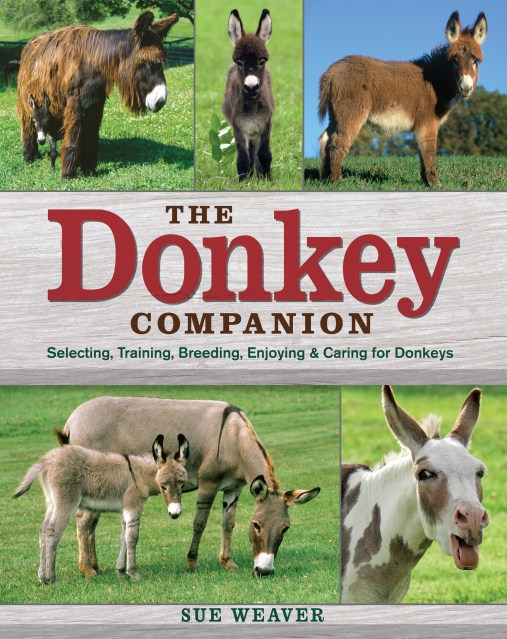 The Donkey Companion