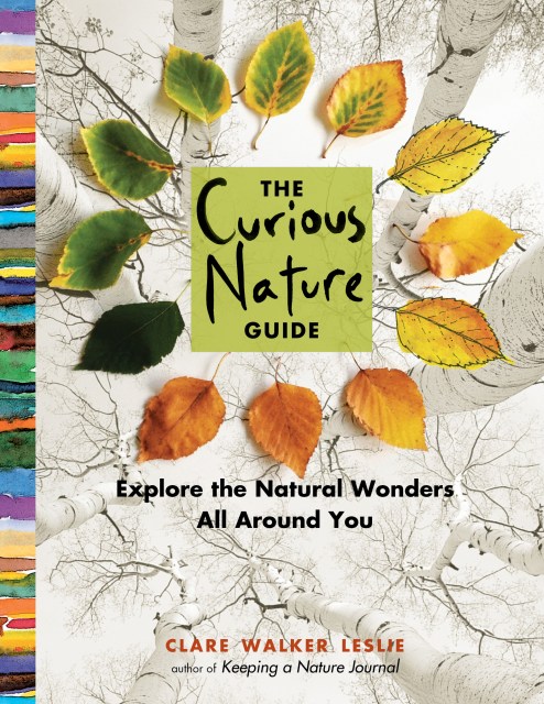 The Curious Nature Guide