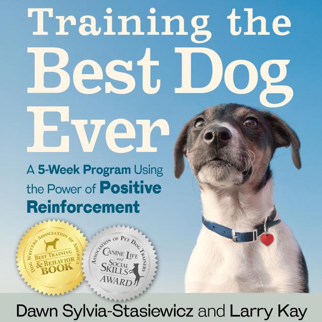 Training the Best Dog Ever